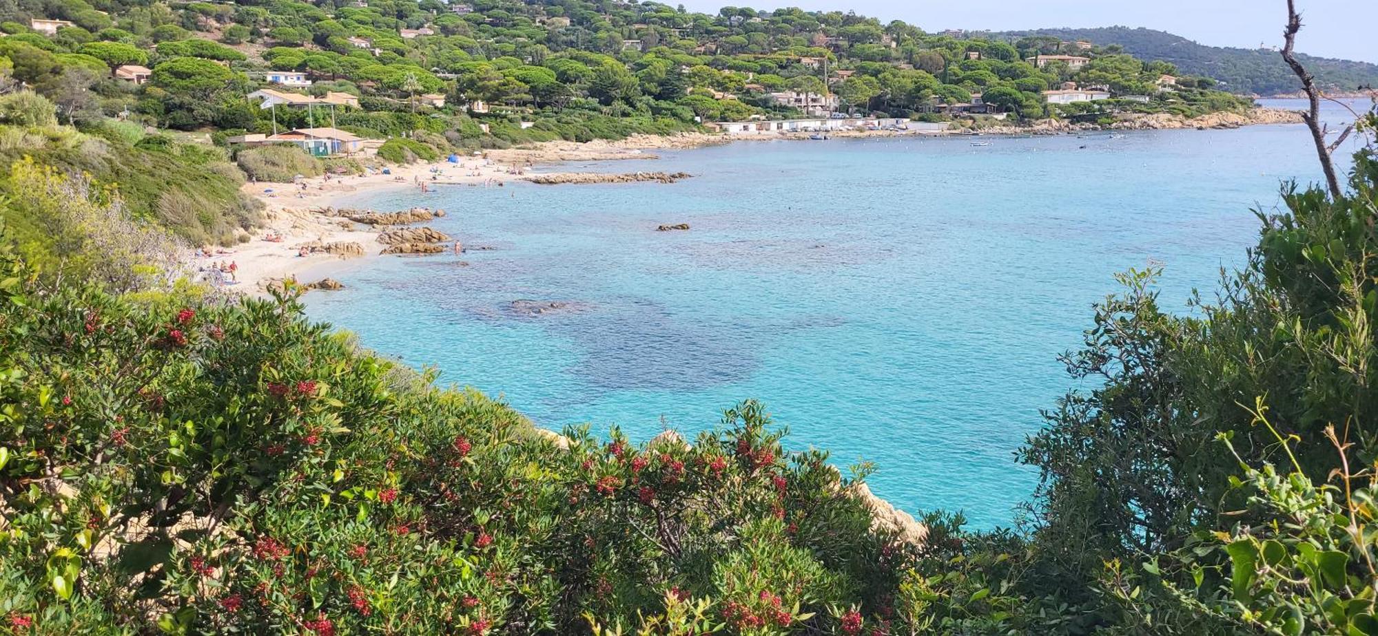 L'Aloe Vera Le Plan-de-la-Tour Bagian luar foto